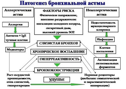 напад бронхіальної астми