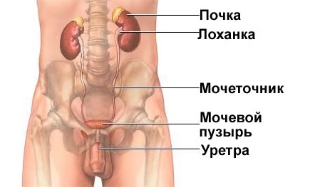 чи можна лікувати лімфовузли дарсонвалем