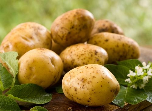вилікувати бородавку картоплею