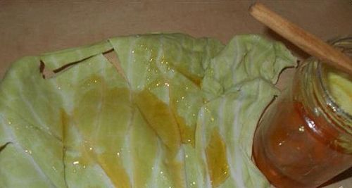 як лікувати лактостаз капустяним листом