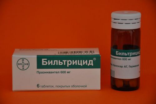 лікування опісторхозу більтріцідом схема препарати таблетки ліки симптоми у дорослих
