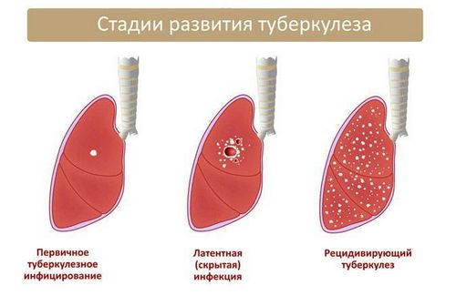 приміщеннях