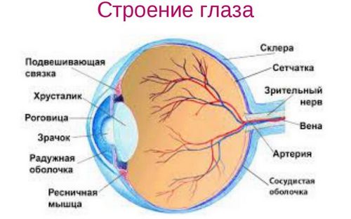 лікувати судини очей