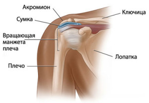 як лікувати розтягнення м'язів плеча