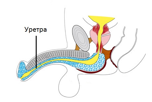 як лікувати бактеріальний уретрит