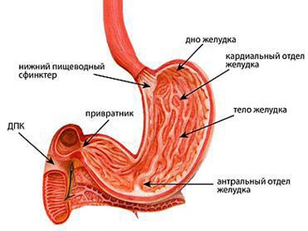 як лікувати антральний гастрит