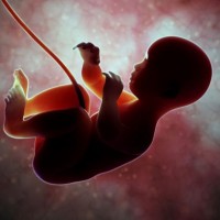 плода, вагітності, що завмерла, жінки, є, патології, даної, виношування, вагітність, після, час, організм, порушення, випадку, системи, завмирання, які, можуть, більш, завмерлого плода