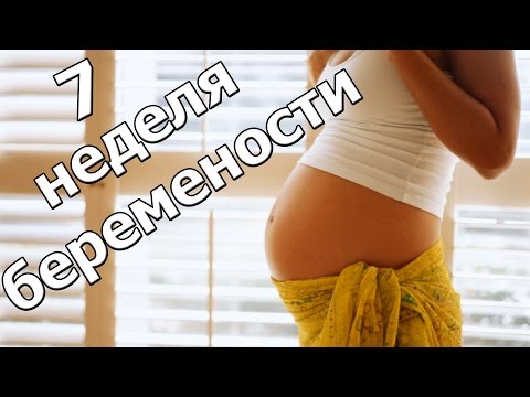 щоденник вагітності 8 тиждень щоденник вагітності 8 тиждень