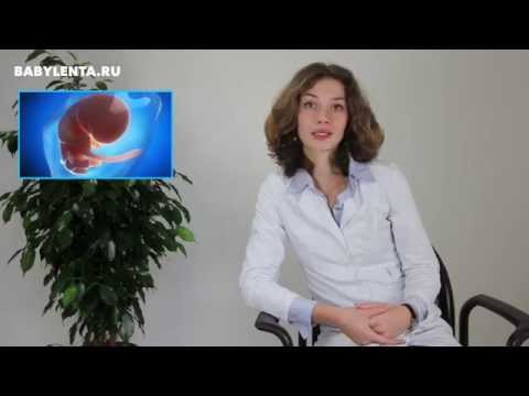 щоденник вагітності 8 тиждень щоденник вагітності 8 тиждень