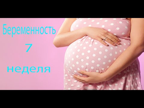 щоденник вагітності 8 тиждень щоденник вагітності 8 тиждень