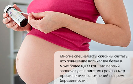 білок в сечі при вагітності, білок в сечі, вагітність, білок, сеча, білка, аналіз, кількість, нирка, збір, причина, норма, протеїнурія збір