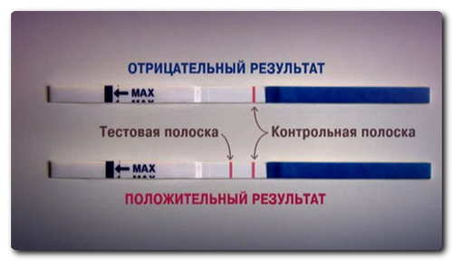 коли робити тест на вагітність після еко коли робити тест на вагітність після еко