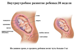 перший місяць вагітності болі внизу живота, хвороби матки перший місяць вагітності болі внизу живота