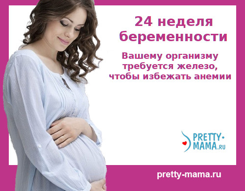 24 тиждень вагітності харчування