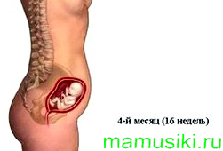 четвертий місяць вагітності четвертий місяць вагітності