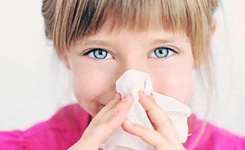 як вилікувати алергію на домашній пил