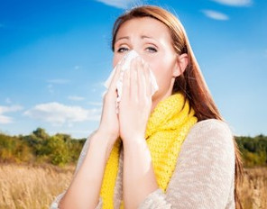 як лікувати алергію чистотілом