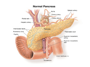 дифузний зміна печінку підшлункової залоза паренхіма