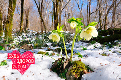 лікування гепатиту з народними засобами домашніх умовах