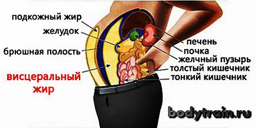 вправи щоб прибрати живіт