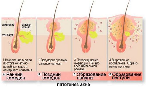 рецепти