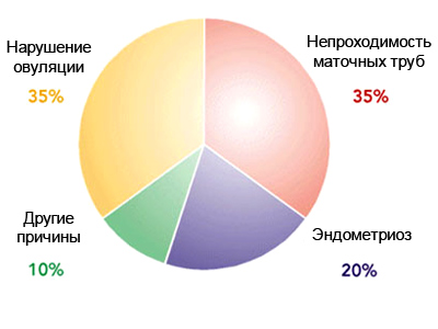 досить