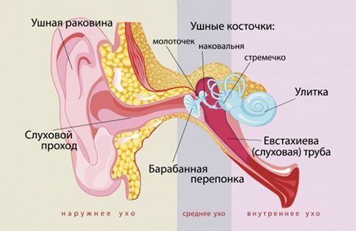 як лікувати отит у грудничка