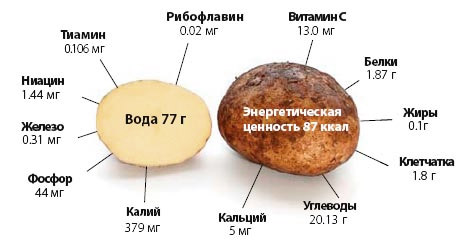Картопляний сік при виразці шлунка і дванадцятипалої кишки: як приймати, протипоказання протипоказання
