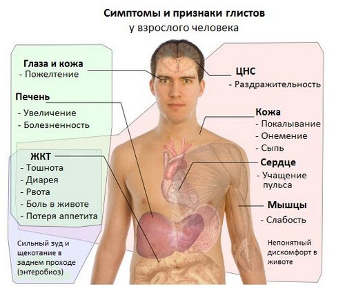 лікувати глисти людини