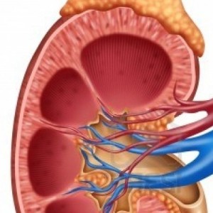як лікувати балію нирки
