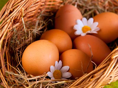 як лікувати алергію на яйця