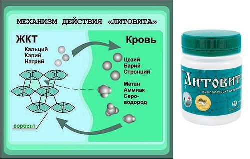 як лікувати алергію на тілі