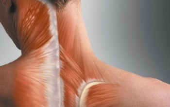 спазм м'язів шиї і плечей комірцевої зони симптоми причини лікування