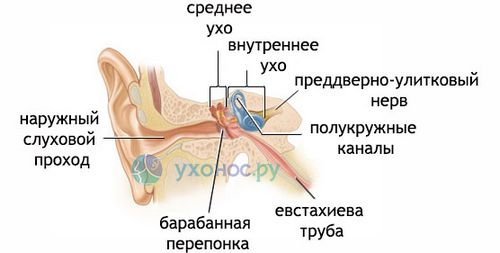 як лікувати коли вуха стріляють