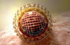 вірус гепатиту