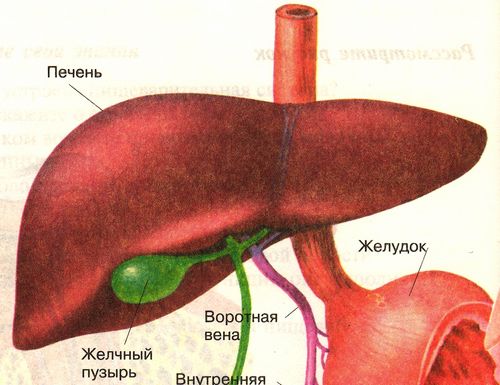 як лікувати потрапляння жовчі в шлунок