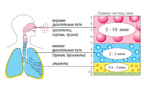 як лікувати алергічну бронхіальну астму