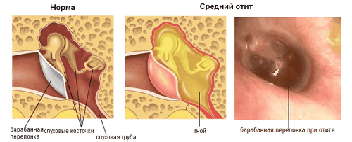 рецепти