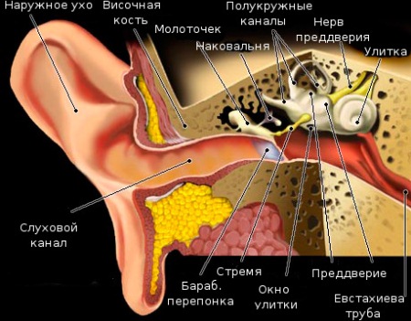 як лікувати тубоотит народними засобами