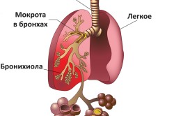 пульмонолог будинку