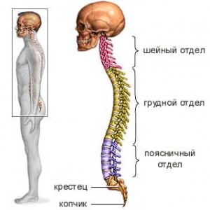 як лікувати ревматизм попереку