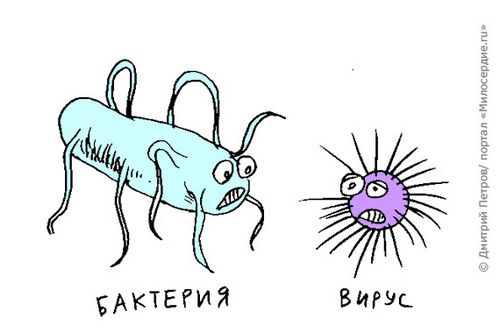 як лікувати грип антибіотики