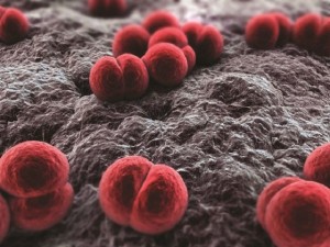 Бактеріальний нежить: причини і лікування як лікувати бактеріальний риніт