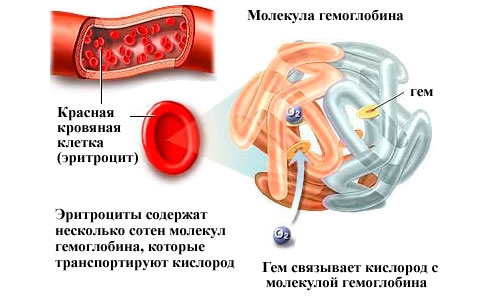 як лікувати анемію мамі