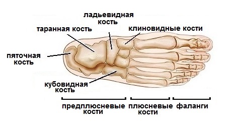 перелом великого пальця ноги