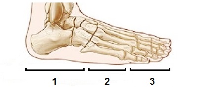 перелом великого пальця ноги