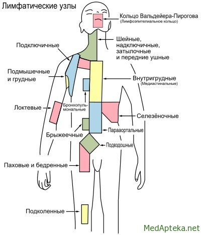 як лікувати лімфовузли на стегні